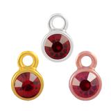 Stainless Steel Birthstone Charms PJ160-1 VNISTAR Stainless Steel Charms