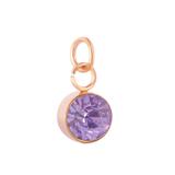 Stainless Steel Rose Gold Plated Birthstone Charm PJ198R-8 VNISTAR Stainless Steel Charms